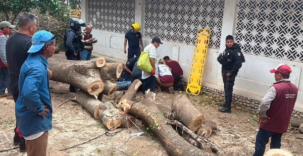 ¡TRABAJADOR DEL AYUNTAMIENTO GOLPEADO EN LA CABEZA POR RAMA!