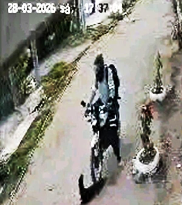 ¡MOTOCICLISTA MATÓ A PERRITA EN LA RESERVA 3!