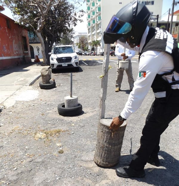 ¡PROHÍBEN A FRANELEROS APARTAR LUGARES EN ZONAS TURÍSTICAS DEL PUERTO!