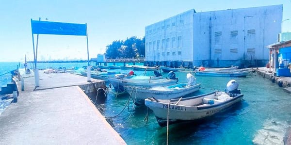 ¡QUE HIDROCARBURO NO CONTAMINA A PECES! - *Eso dice  líder pesquero de Veracruz