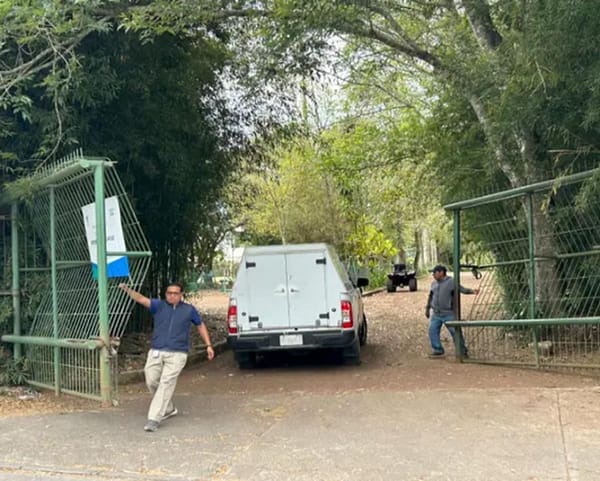 ¡MUERE PINTOR EN LA USBI DE XALAPA! - CAYÓ DE UNA ALTURA DE CINCO METROS EN LA CANCHA DE FRONTÓN