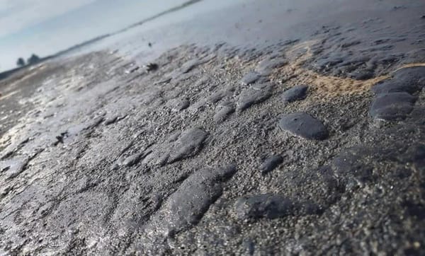 ¡PURO CHAPOPOTE! - Y POR TONELADAS