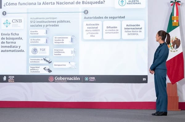 ¡SON 132 MIL! - LOS DESAPARECIDOS...