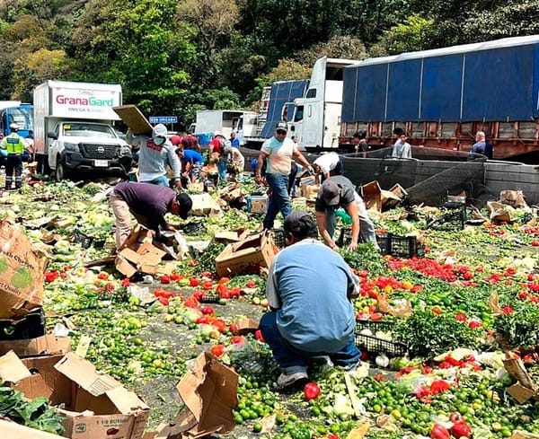 ¡RAPIÑEROS ROBAN 15 TONELADAS DE VERDURAS DE TRÁILER VOLCADO!
