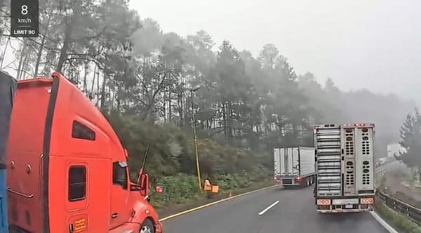 ¡ROBAN TRÁILER CON GANADO EN FALSO RETÉN EN LAS CUMBRES DE MALTRATA!