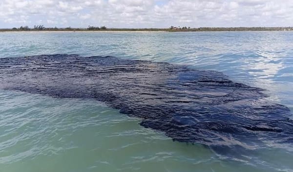 ¡LO ESTÁN OCULTANDO! - OCEANA VS. GOBIERNO