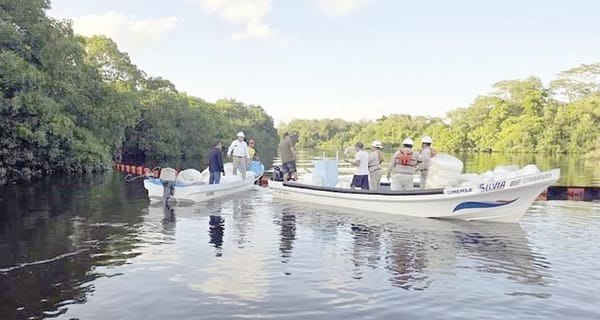 ¡DERRAME DE HIDROCARBUROS IMPACTA 630 KM DEL GOLFO DE MÉXICO!