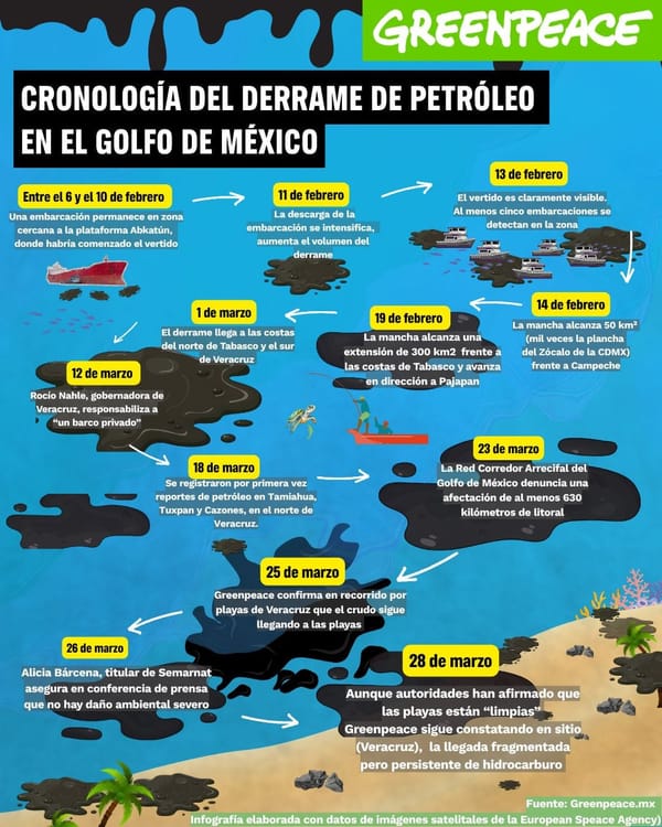 ¡“ATAQUE MEDIÁTICO” POR CHAPOPOTE EN LAS PLAYAS! - NAHLE