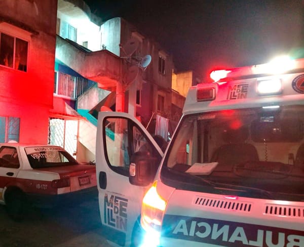 ¡GATO ATACÓ A LA ABUELITA!