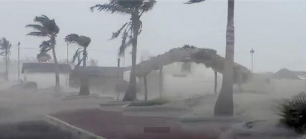 ¡CUBRE TOLVANERA A PLAYA MIRAMAR EN TAMAULIPAS!