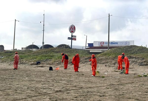 ¡QUEDAN CON ARRIBAZÓN! - *De crudo y chapo, 16 playas entre Veracruz y Tabasco