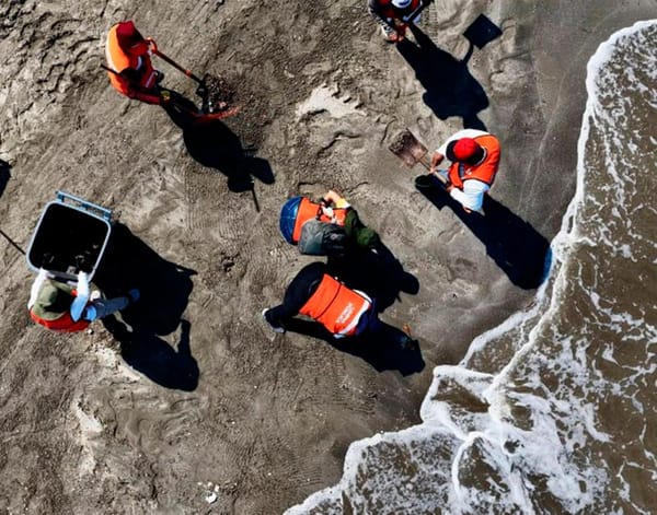 ¡PESE A LIMPIEZA DE PLAYAS DERRAME DE PETRÓLEO IMPACTARÍA POR DÉCADAS! - *Eso dicen especialistas
