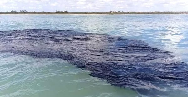 ¡LE PONDRÁN OJOS AL GOLFO DE MÉXICO! - PARA DETECTAR LOS DERRAMES