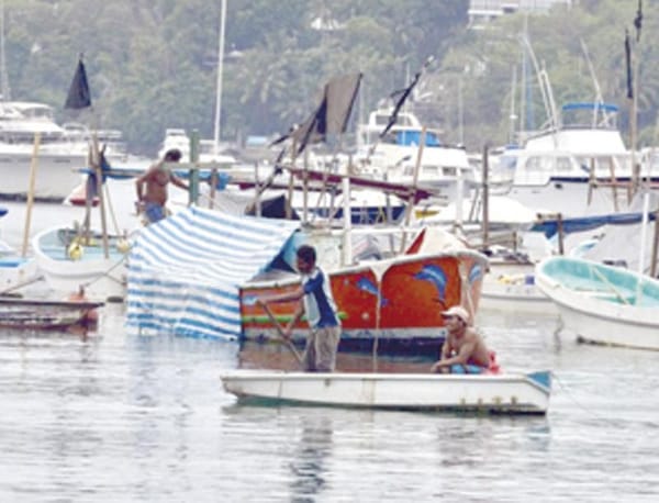DENUNCIA EU ILEGALIDAD EN PESCA Y MADERA DE MÉXICO!