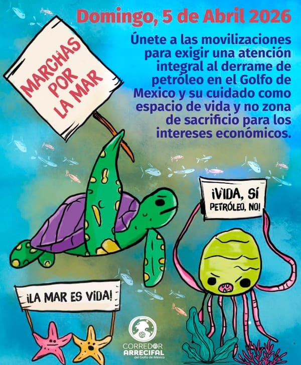 ¡MARCHAS CONTRA EL DERRAME! - EN VERACRUZ, PAJAPAN Y COATZA